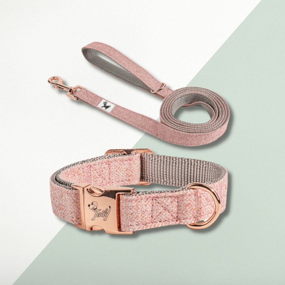 🐶 NEW 🐶 Taily Blush Pink Collar & City Lead Set (Size: Small)